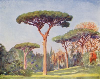  av Augustine Fitzgerald