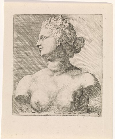 Byste av Venus de' Medici, og profil til venstre Studier for en bok med tegninger etter klassiske skulpturer og figurer av Anthony van Dyck (serietittel) av Augustinus Terwesten (I)