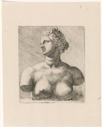 Byste av Venus de