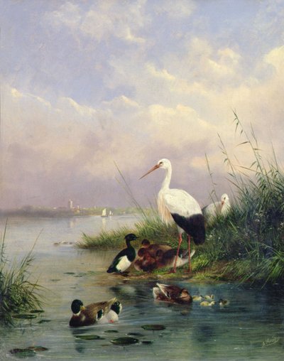 En familie av stokkand, to storker og en familie med tufteender (par 77886) av Augustus Knip