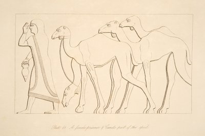 En kvinnelig fange og kamel, illustrasjon fra Monuments of Nineveh, 1849 av Austen Henry Layard