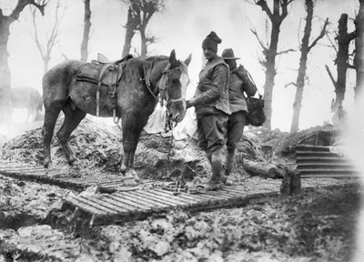 En artillerihest brukt til å transportere ammunisjon til våpnene og dens uidentifiserte australske sjåfør på en duckboard-bane mellom Mametz og Montauban, desember 1916 av Australian Photographer