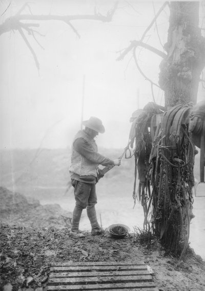 En uidentifisert australsk artillerisjåfør renser gjørme fra teamets sele i en billett nær Mametz, desember 1916 av Australian Photographer