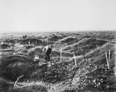 Utsikt over spredte australske graver langs OG1-linjen på slagmarken i Pozieres, 16. september 1917 av Australian Photographer