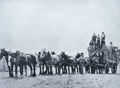 Ullbærende team, Western Australia, ca. 1900, fra `Under the Southern Cross - Glimpses of Australia