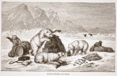 Isbjørner angriper bagasjepuben vår. Wien 1876 (gravering) av Austrian School