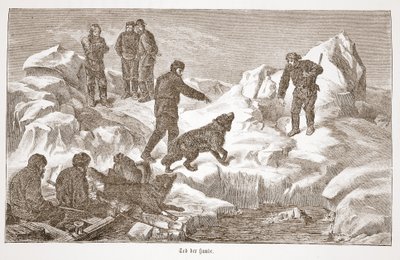 Jakt med hunder, 1876 av Austrian School