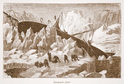 Hansaens forlis, 1876 av Austrian School