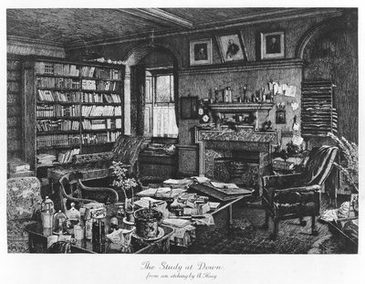 The Study at Down, pub. 1882 (gravering) av Axel (after) Haig