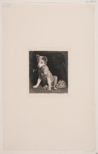 Hunden og bien av Axel Helsted