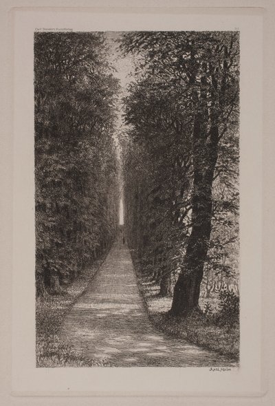 Sukkenes allé av Axel Holm