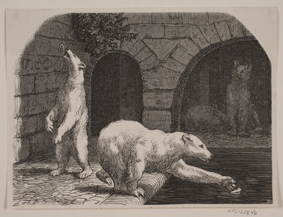 Bjørner i Jardin des Plantes av Axel Theodor Kittendorff