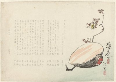Shell av Ayaoka Yûshin