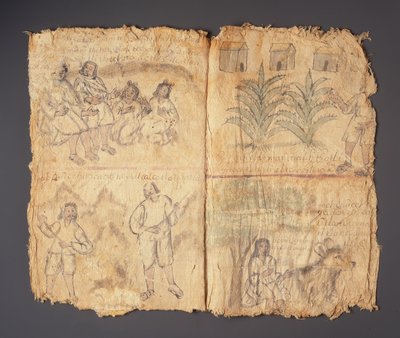 Techialoyan Codex, Coyotepec Coyonazco, Mexico (pigment og blekk på papir) av Aztec