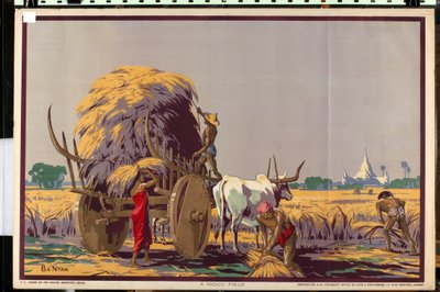 A Paddy Field, fra serien 'Burma: A Land of Rich Resources' (farge litho) av Ba Nyan