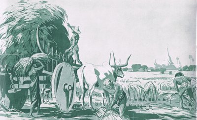 En rismark i Burma, fra MacMillan skoleplakater, ca. 1950-60-tallet (litho) av Ba Nyan