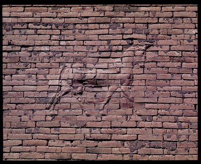 Detalj av en okse, relieff av Ishtar-porten, 580 f.Kr av Babylonian