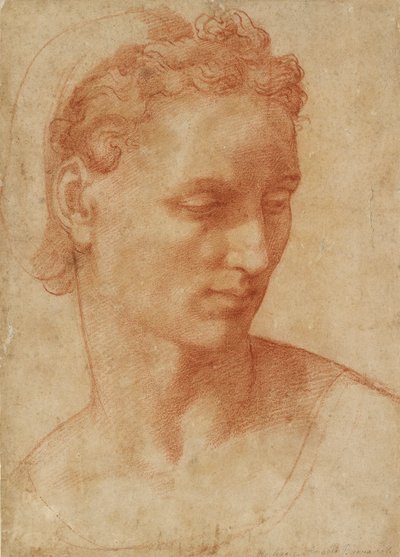 Head of a Woman, tidlig på 1500-tallet av Baccio Bandinelli