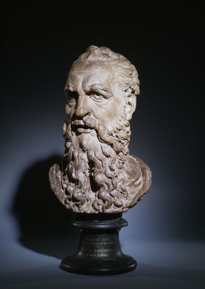 Studie av hodet til Saint Paul, ca. 1535 (terrakotta) av Baccio Bandinelli