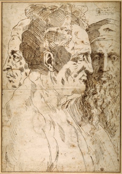 Tre mannlige hoder sidestilt (penn og brunt blekk og svart kritt på papir) av Baccio Bandinelli