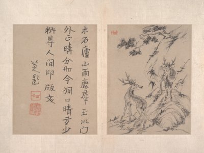 Album. av Bada Shanren