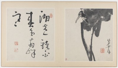 Sider fra et album med blomster, fugler, insekter og fisk, Qing-dynastiet, 1688-89 (blekk på papir) av Bada Shanren