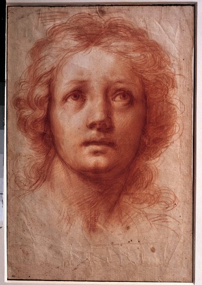 Studie eines Frauenkopfes, der feste Blick richtet sich nach oben. Zeichnung in Tinte und Waschung von Franceschini Baldassare genannt il Volterrano (1611-1689). 17. Jahrhundert. Maße: 0,42x0,28m. Paris, Louvre Museum von Baldassare  Franceschini