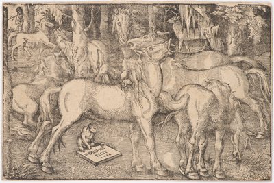 Gruppe på syv hester, 1534. av Baldung