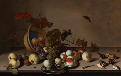 Fruktstilleben med flettet kurv, blåskjell og sommerfugl, første halvdel av 1600-tallet. av Balthasar van der Ast