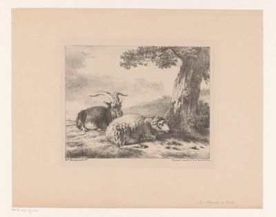 geit og sau av Balthasar Paul Ommeganck