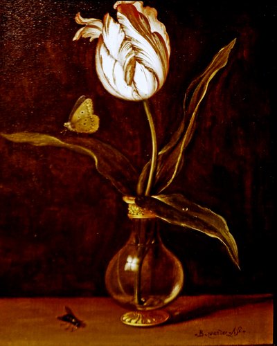  av Balthasar van der Ast