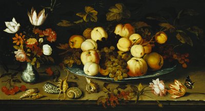 Frukt på et fat, blomster i en Wanli Kraak-porseleinvase, kvist av kirsebær og rips, skjell, en rose, en tulipan, en rosa, en øgle, en snegl og en rød admiral på en steinhylle, øyenstikkere over, 1626 av Balthasar van der Ast