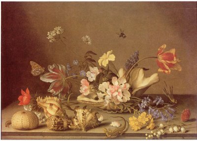  av Balthasar van der Ast