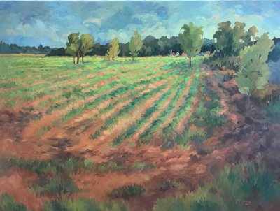 Tidlig morgen, ca. 1980–2000 (olje på lerret) av Barbara Cleary