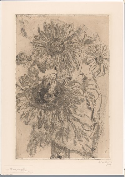Tre solsikker i en vase av Barbara Elisabeth van Houten (signed by artist)