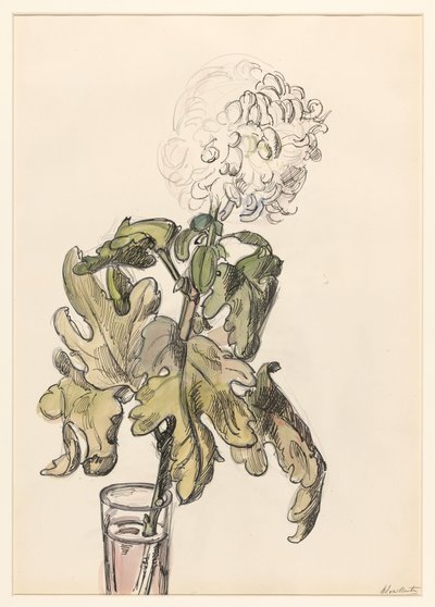 Blomstrende krysantemum, i en vase av Barbara Elisabeth van Houten