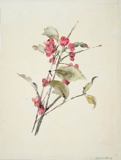 Rosa blomster (akvarell på papir) av Barbara Leigh Smith Bodichon