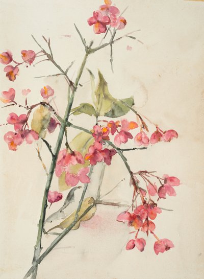 Rosa blomster (akvarell på papir) av Barbara Leigh Smith Bodichon