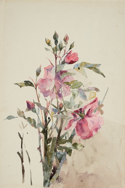 Rosa blomsterstengler (akvarell på papir) av Barbara Leigh Smith Bodichon