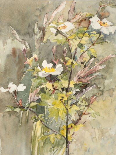 Villblomster (akvarell og grafitt på vevd papir) av Barbara Leigh Smith Bodichon