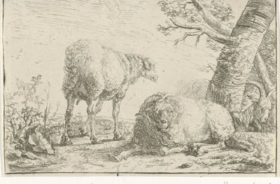 To sauer og en geit av Barend Graat