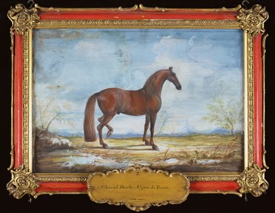 nr. 2 Alzan de Tunis, en Barbary-hest fra den spanske rideskolen (wc på papir) av Baron Reis Eisenberg