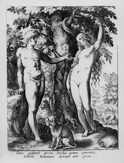 Adam og Eva, gravert av Hendrik Goltzius, 1585 av Bartholomaeus Spranger
