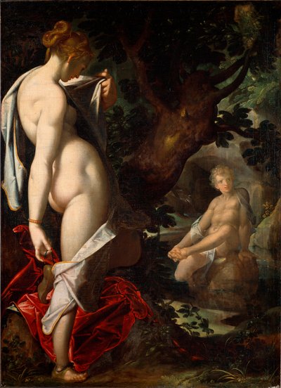 Naiaden Salmacis beundrer Hermafroditt som bader i en kilde (maleri av Bartholomaeus Spranger