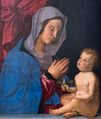 Madonna og barn, ca. 1503 (olje på trepanel) av Bartolomeo Montagna