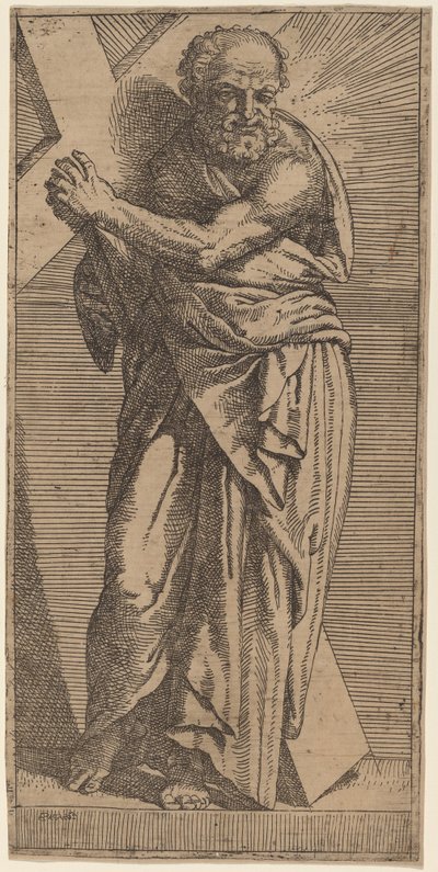 Saint Andrew av Bartolomeo Passarotti
