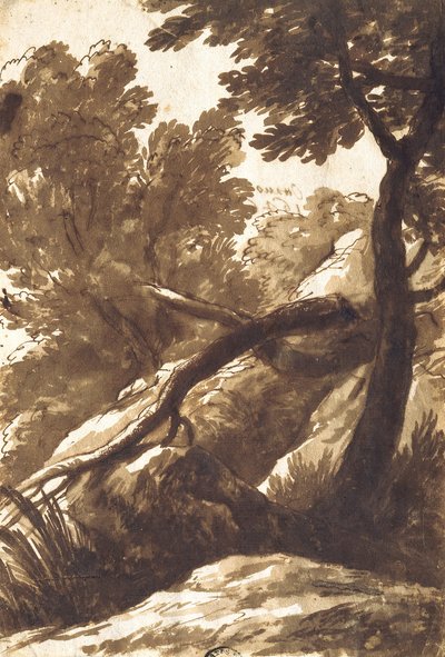 Skogkledd landskap av Bartolomeo Torregiani