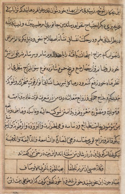 Side fra Tales of a Parrot Tuti-nama: tekstside, ca. 1560. av Basavana