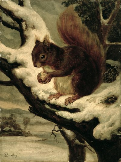 Et rødt ekorn spiser en nøtt (olje på kvernbrett) av Basil Bradley
