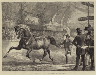 Trav på Islington Horse Show av Basil Bradley